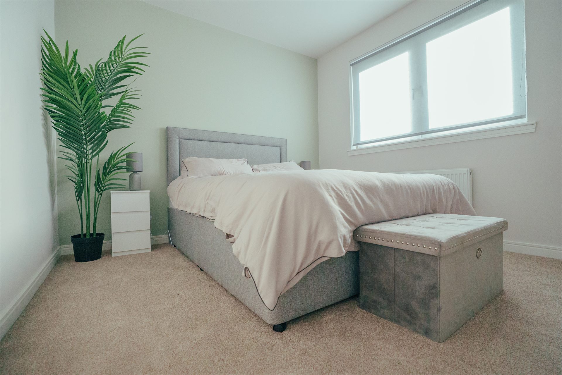 HMO & Serviced Accommodation