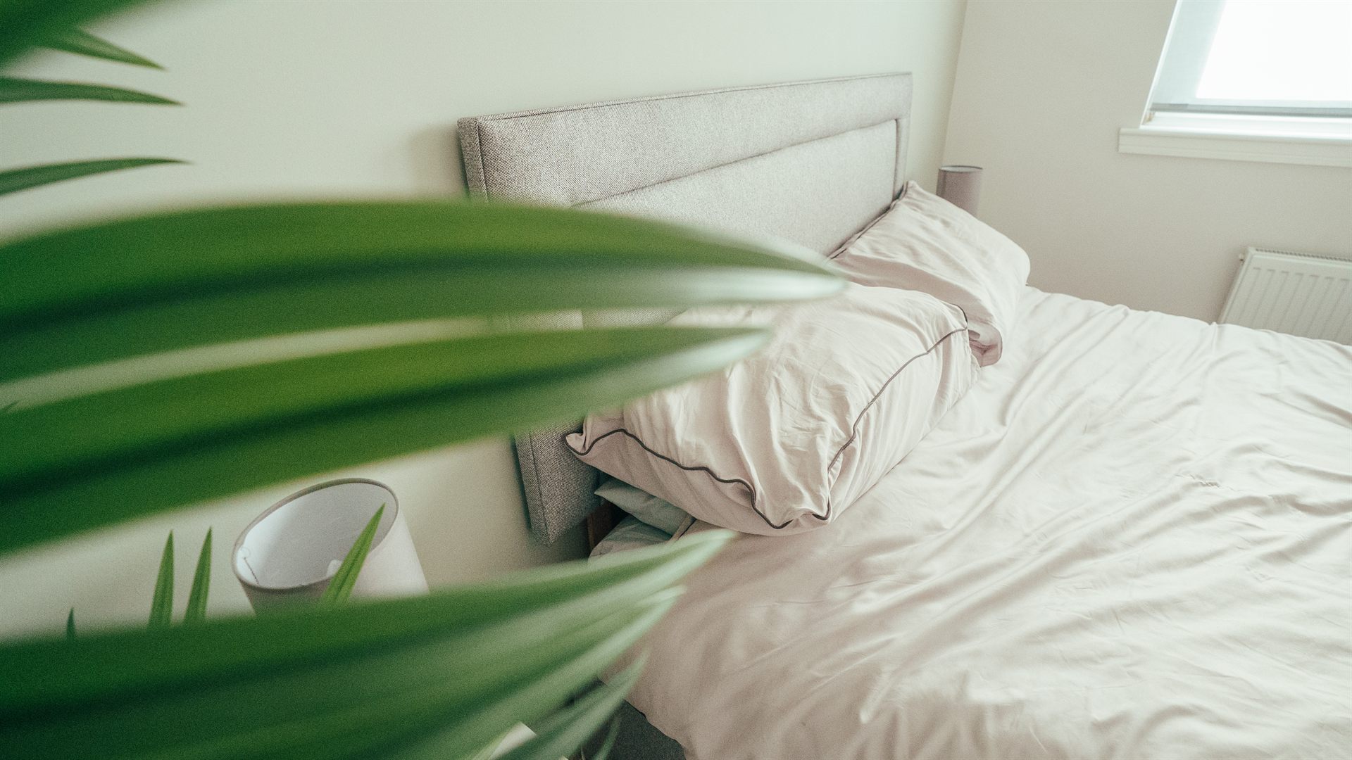 Rutherglen · Serviced Accommodation Fit-Out
